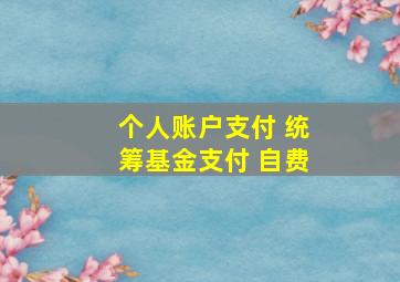 个人账户支付 统筹基金支付 自费